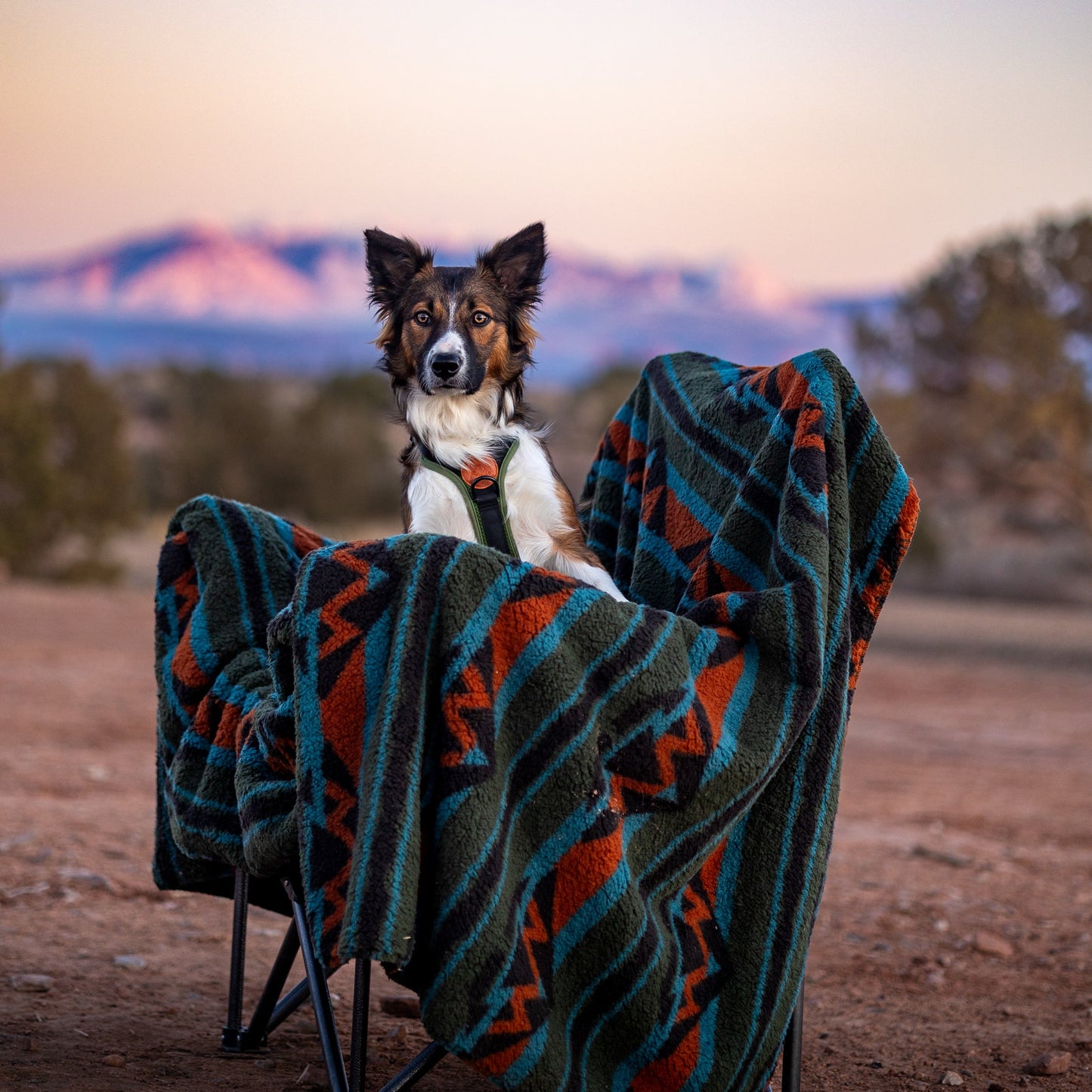Sherpa Fleece Waterproof Blanket