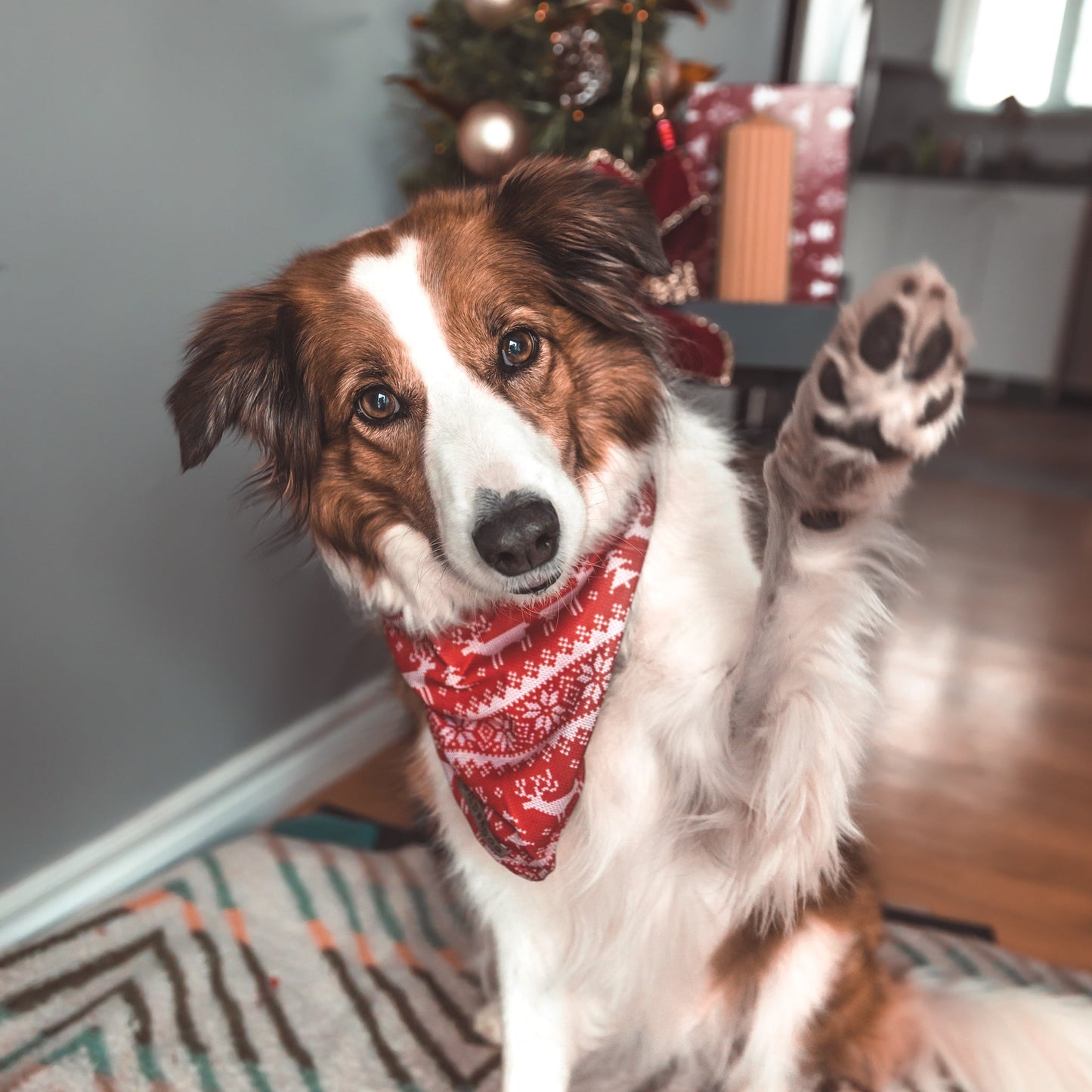 Ugly Sweater Bandana
