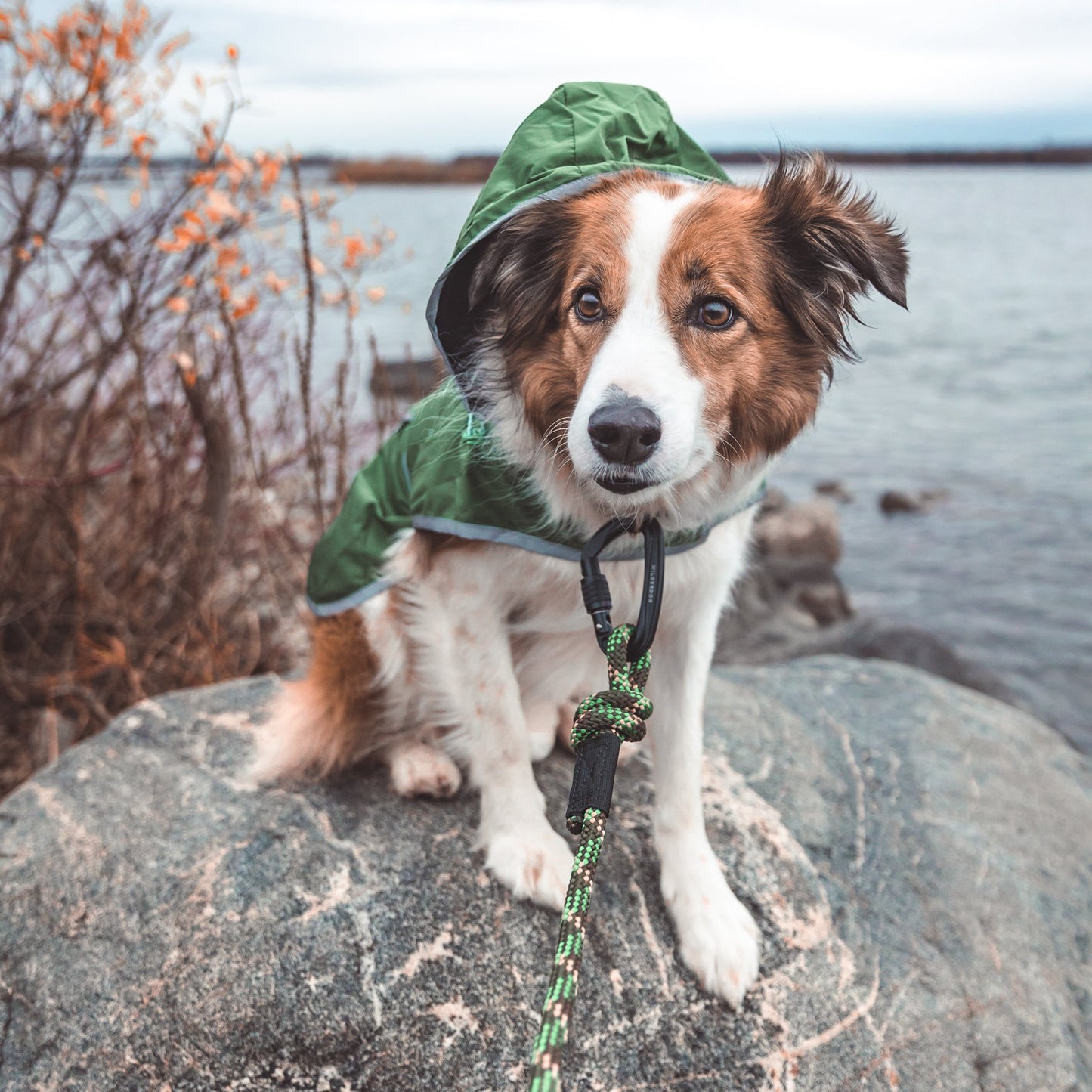 Camo Leash