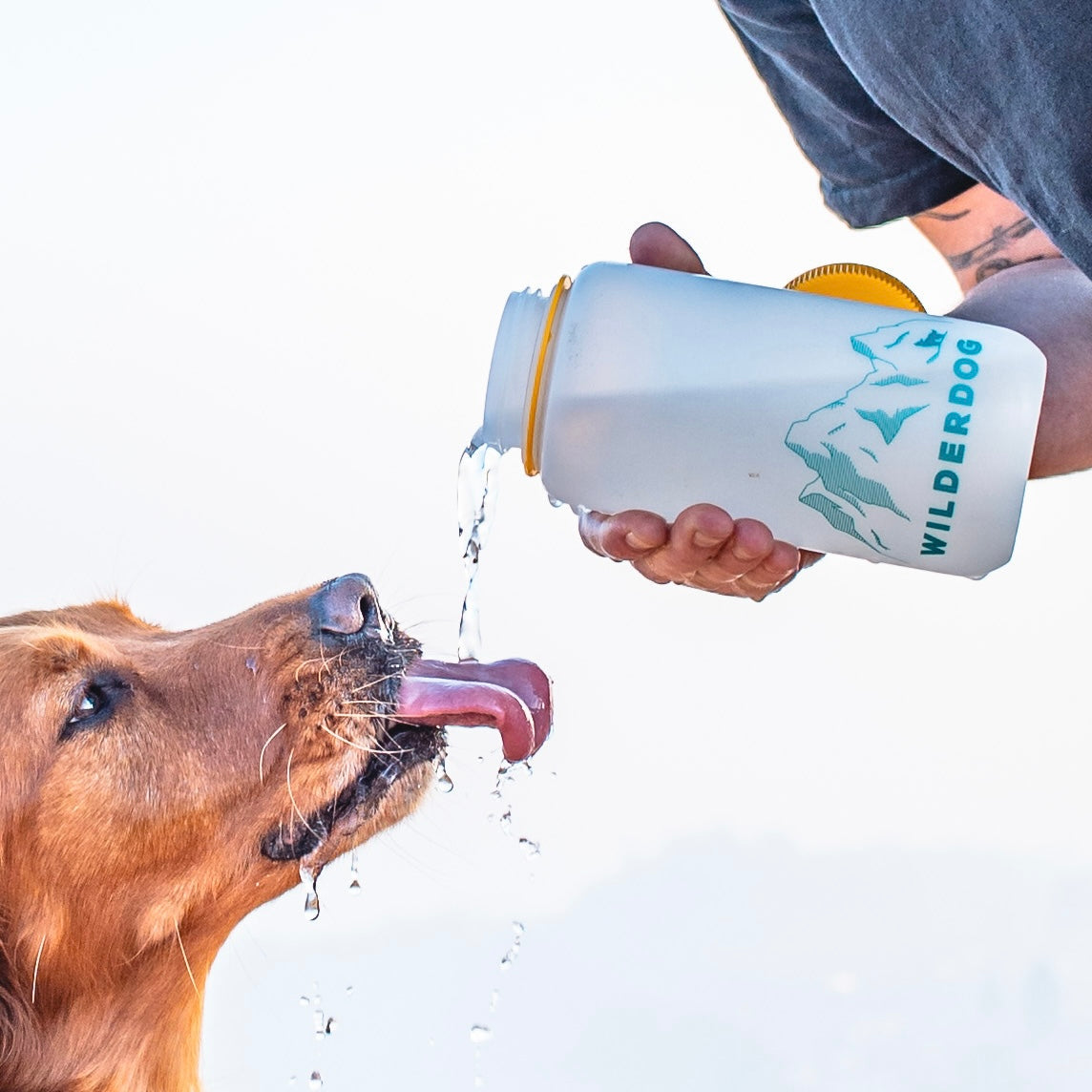 Wilderdog Nalgene