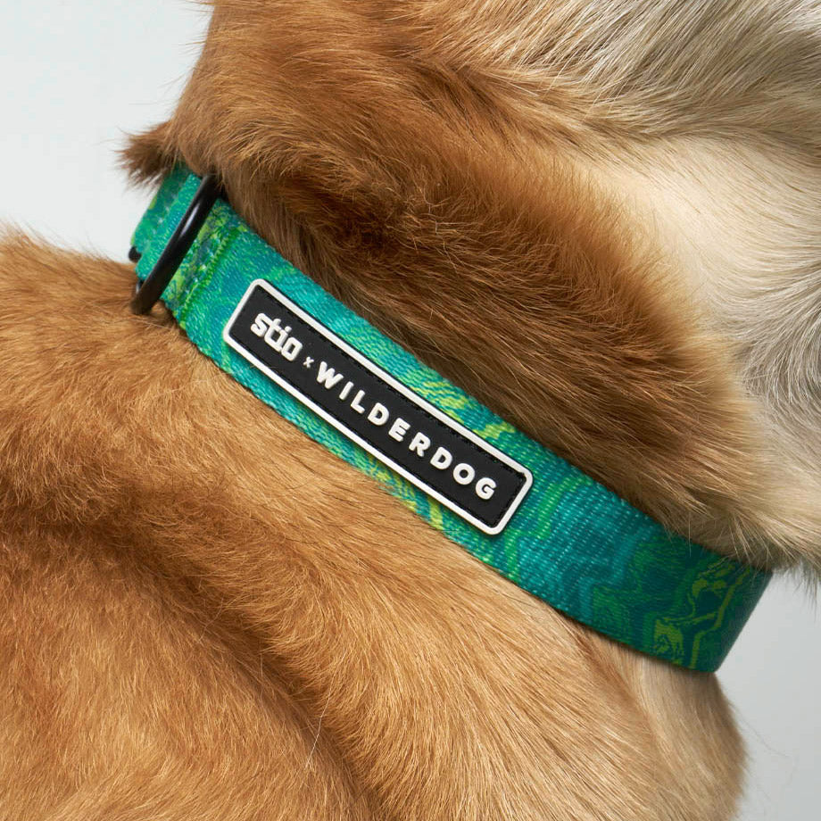 Wilderdog x Stio Ultralight Collar