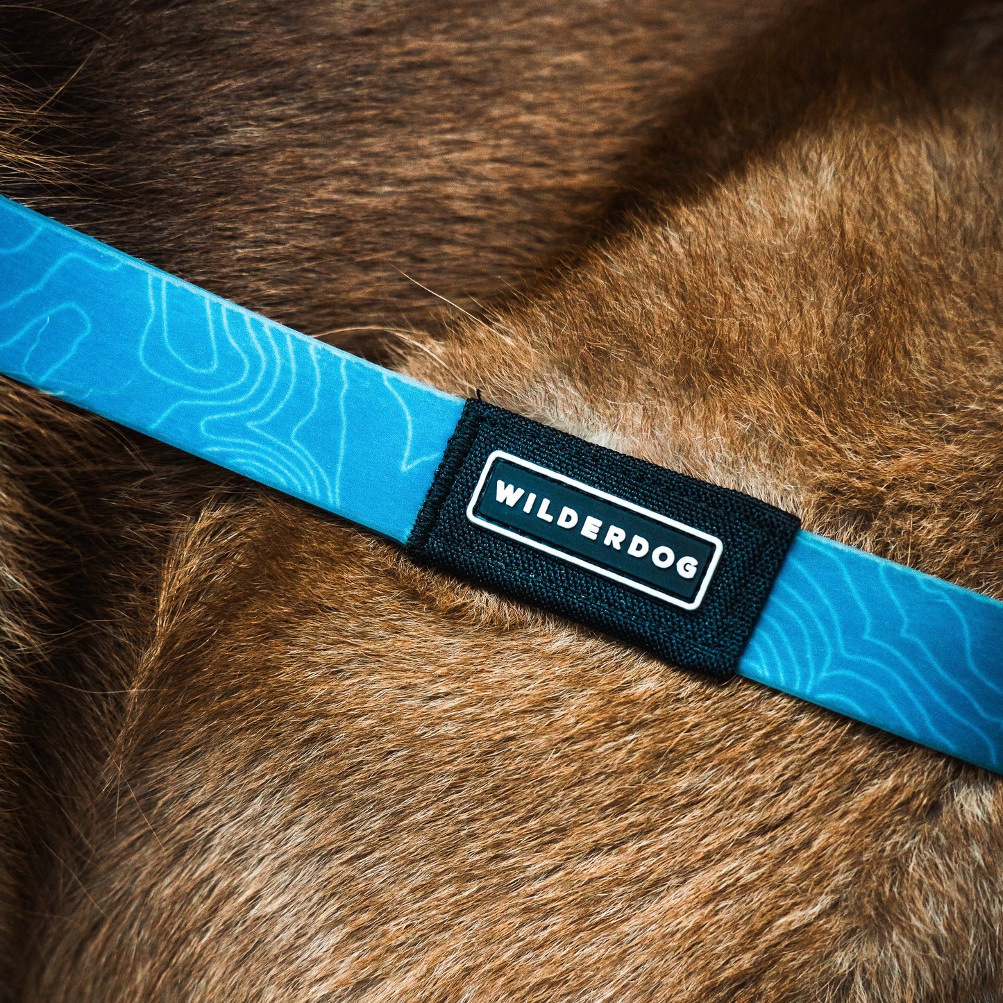 Pacific Blue Waterproof Leash
