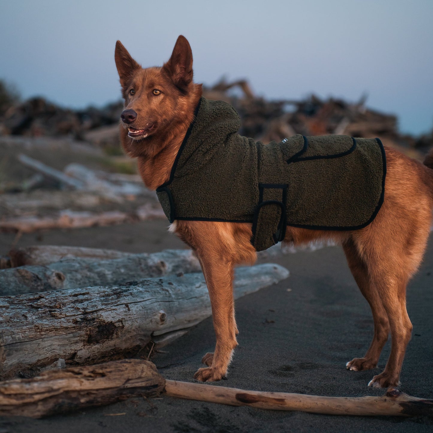 Sherpa Jacket
