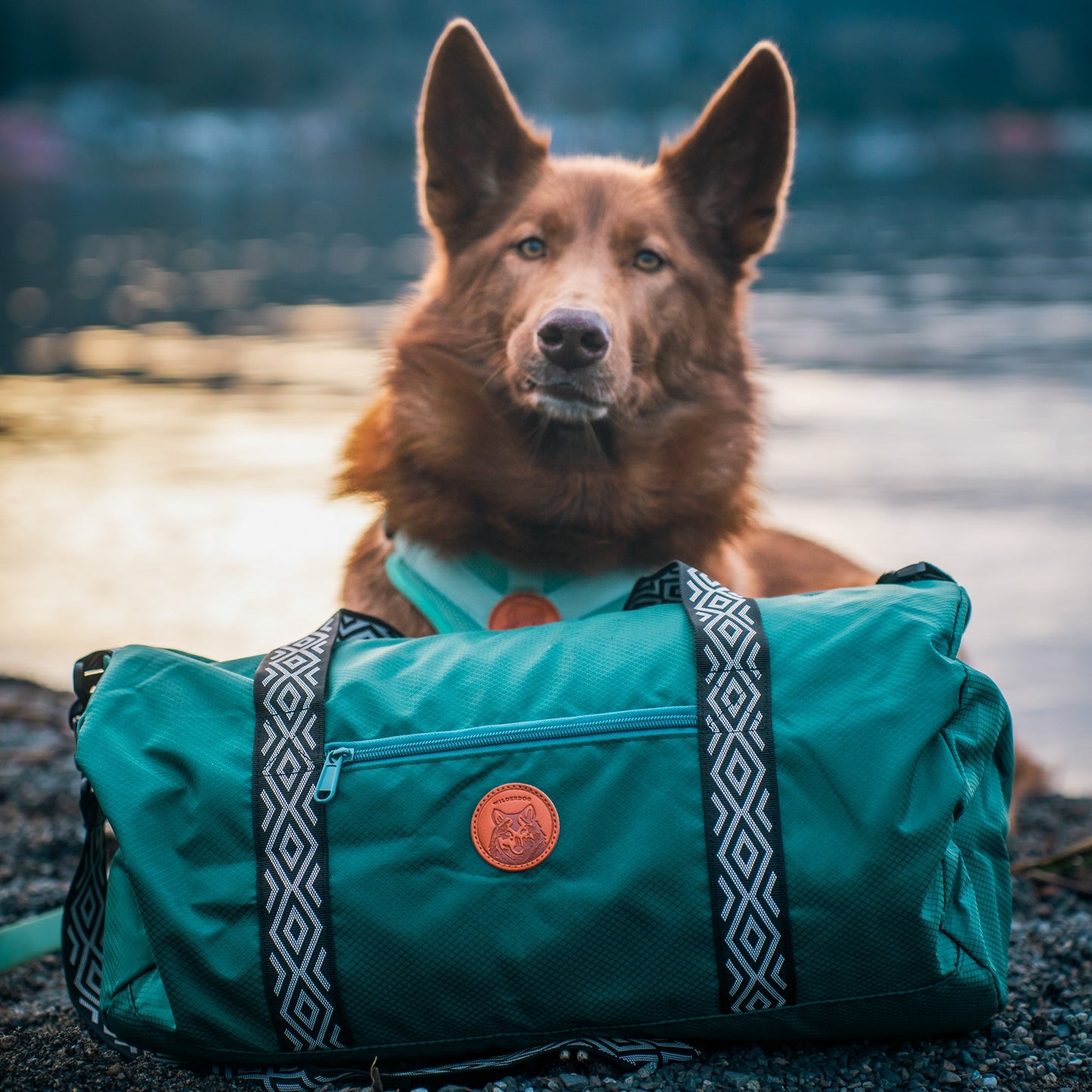 Dog Duffel