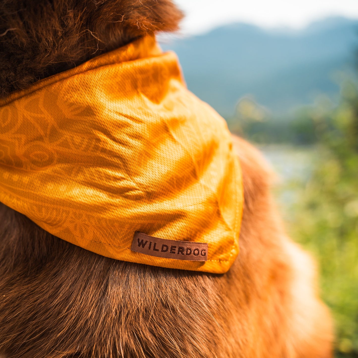 Mustard Bandana