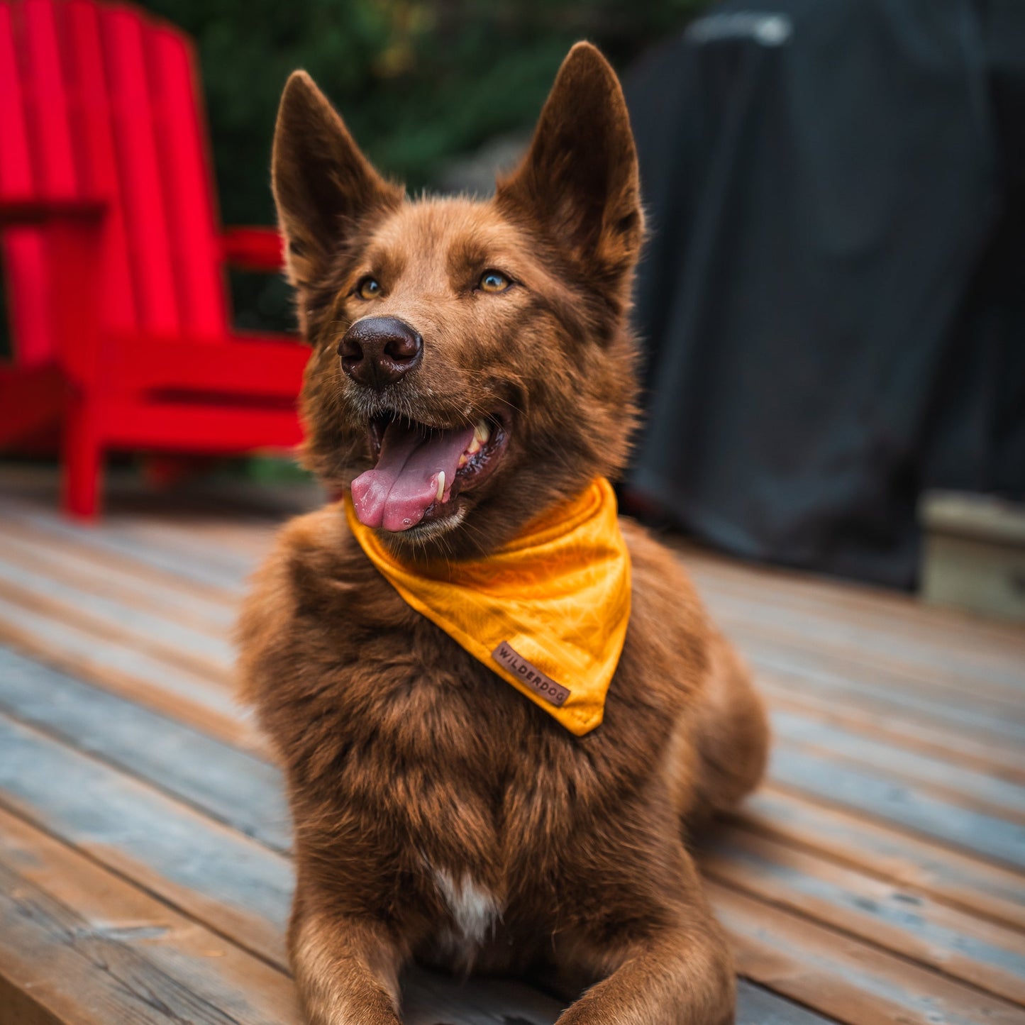 Mustard Bandana