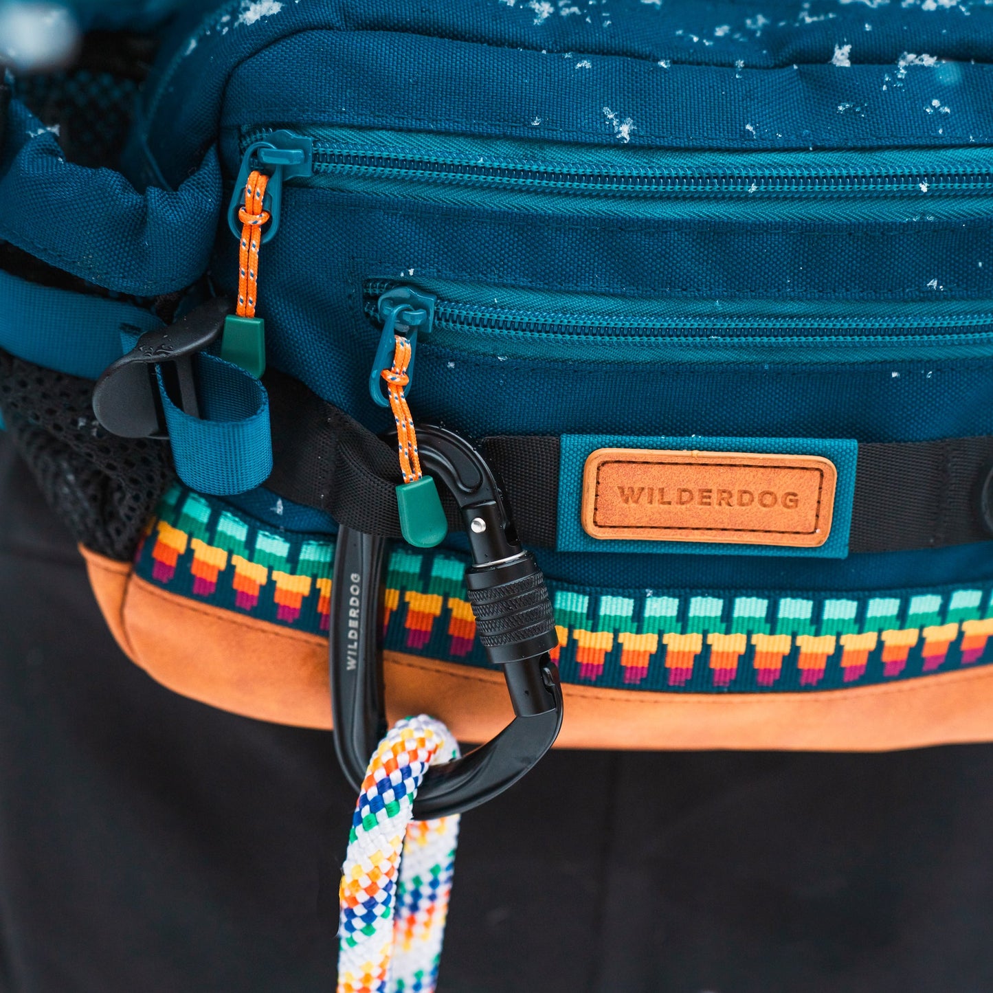 Extra Carabiner