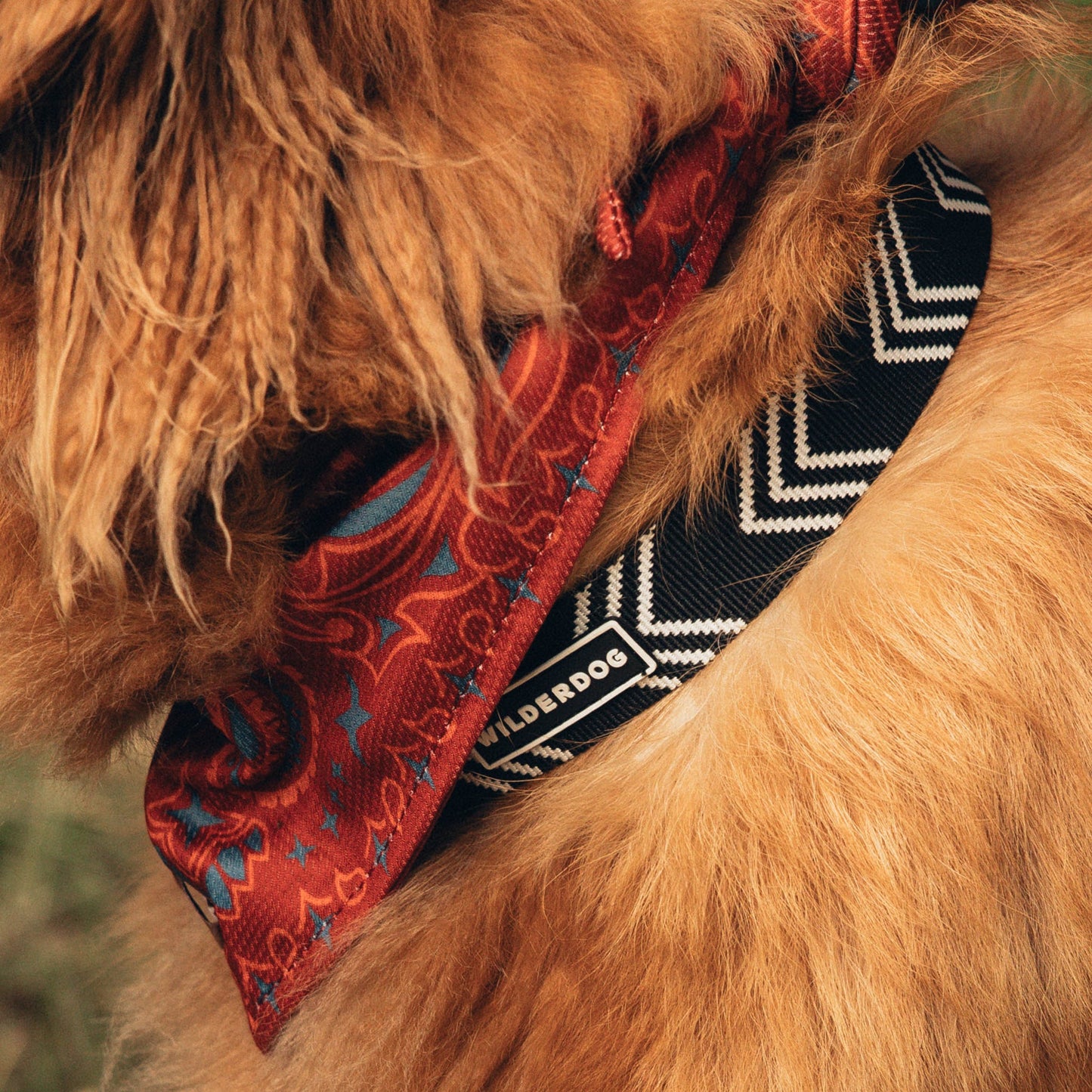 Orca Ultralight Collar