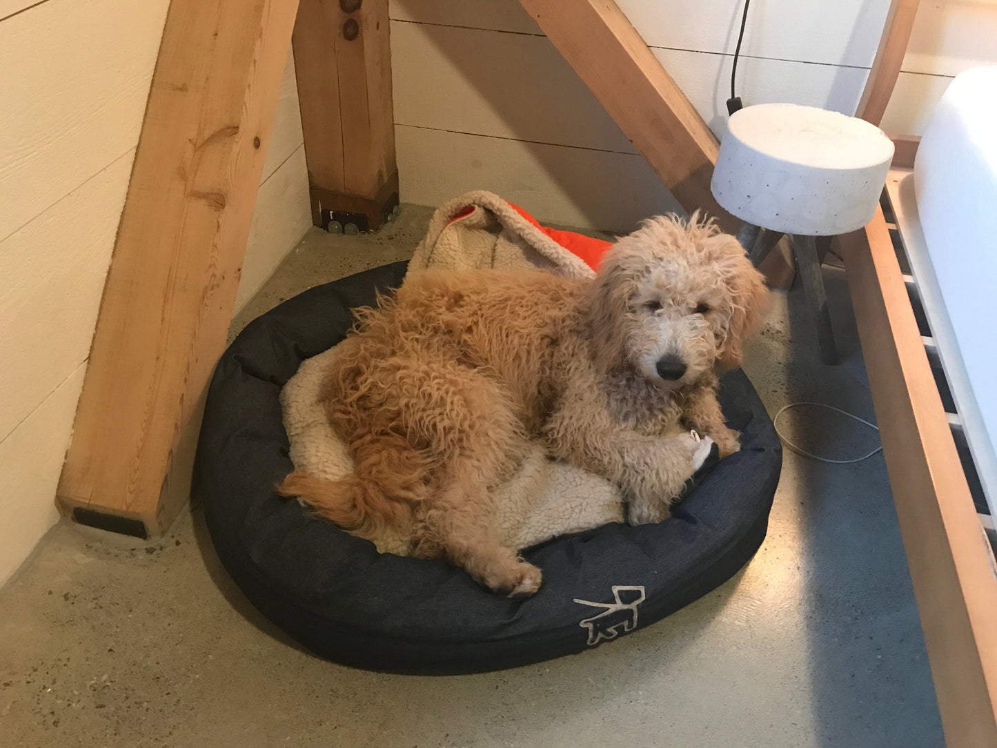 dog model in denim canvas dog bed