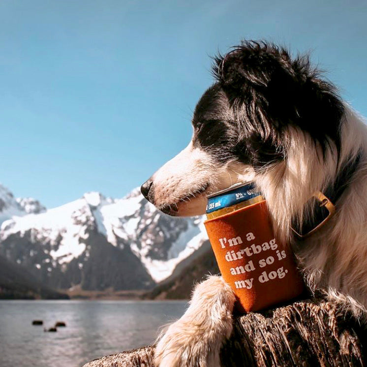 Party Dog Koozie