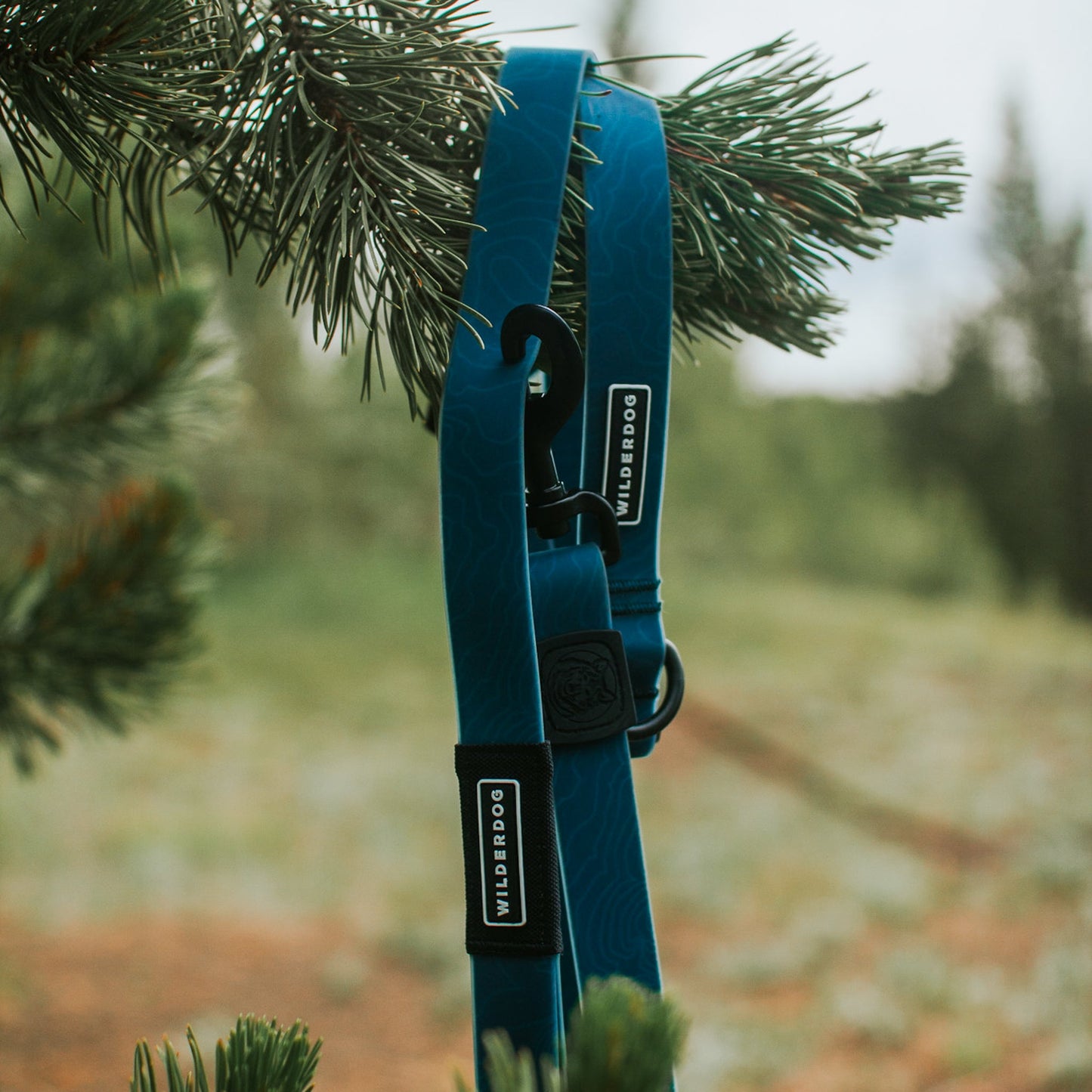 Pacific Blue Waterproof Leash