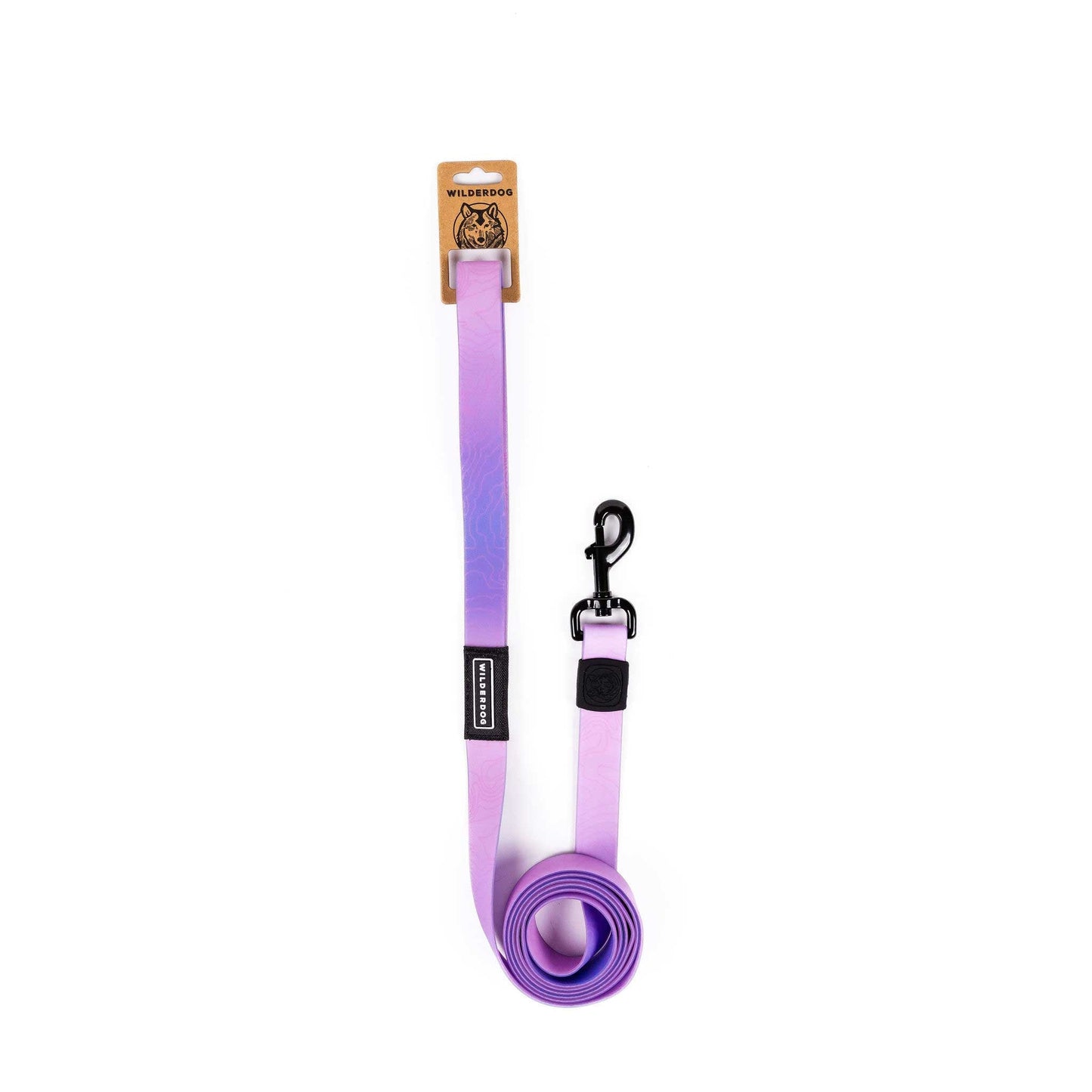Aurora Waterproof Leash