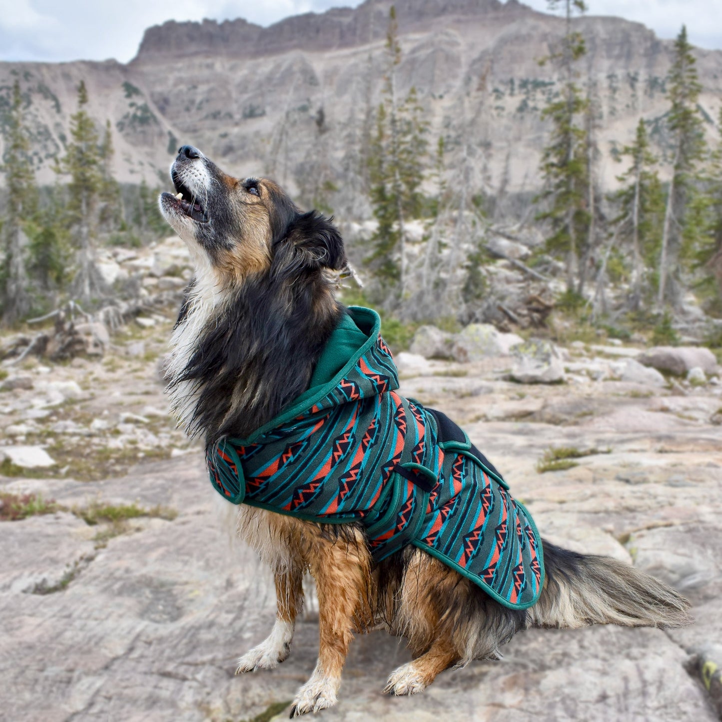 Olive Fleece Jacket