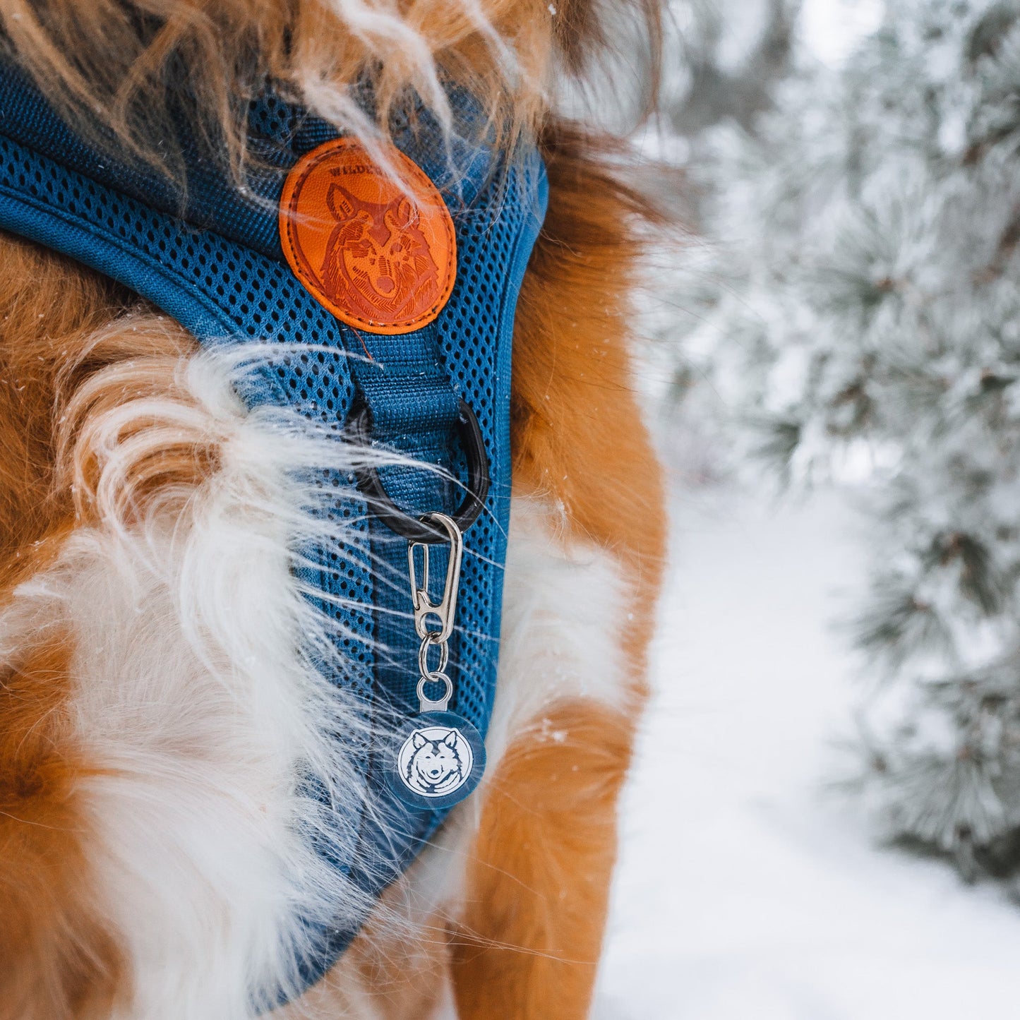 Wilderdog Silicone Tag