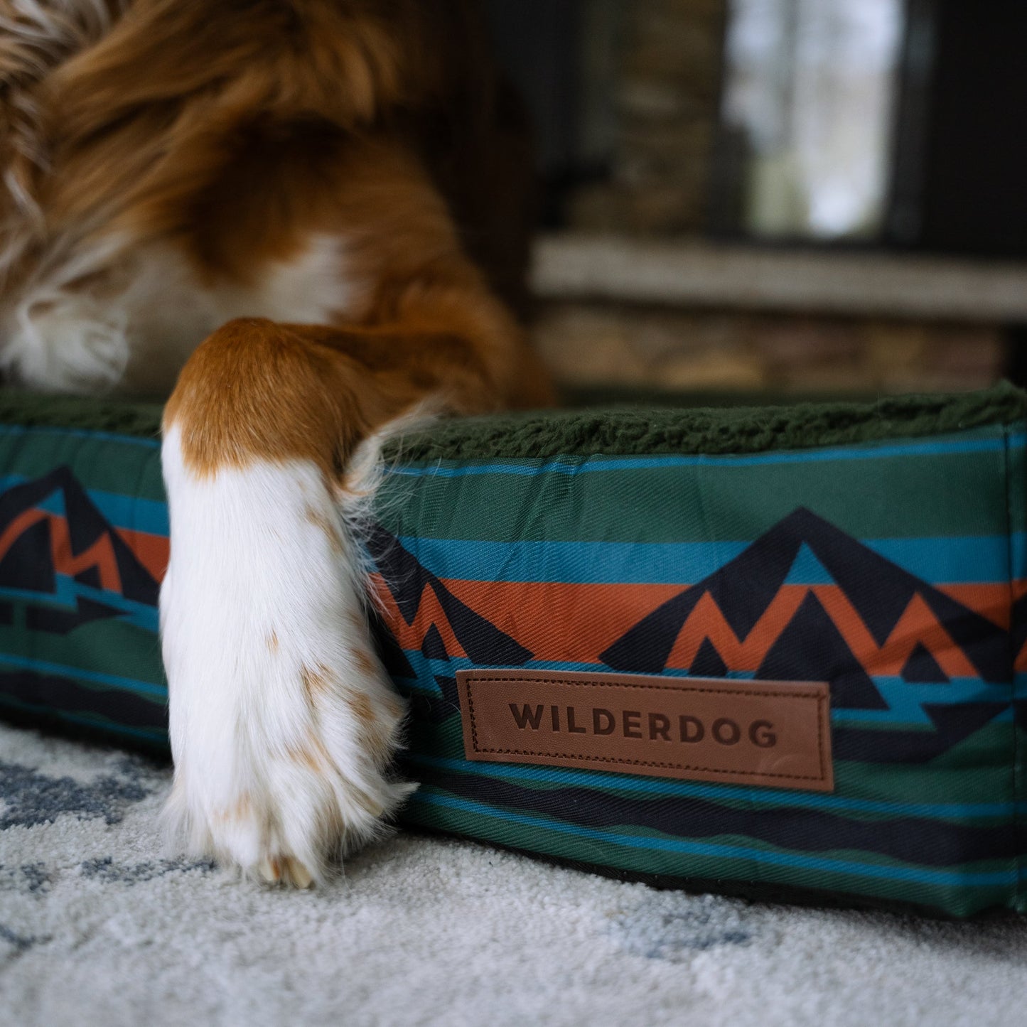 Memory Foam Dog Bed