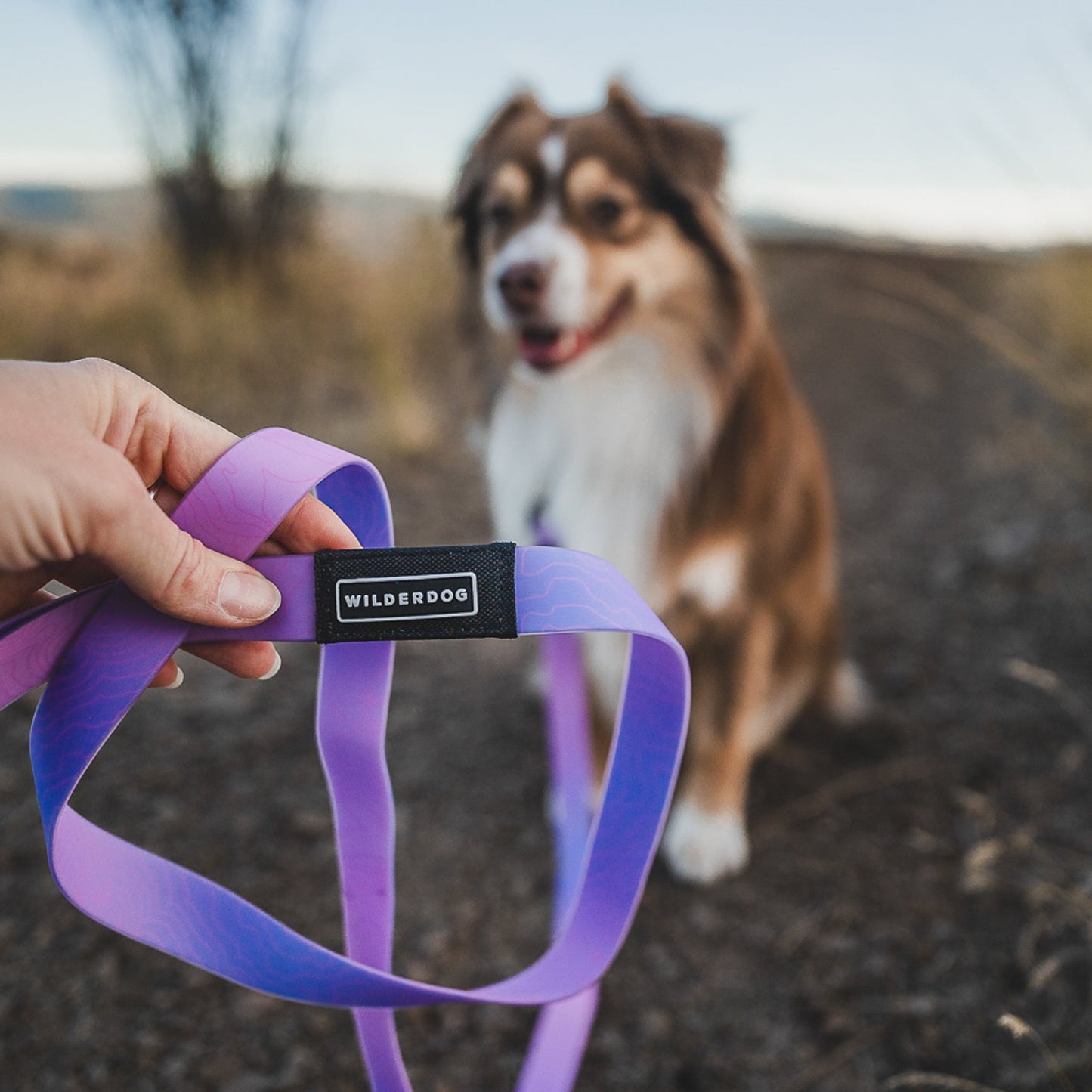 Aurora Waterproof Leash