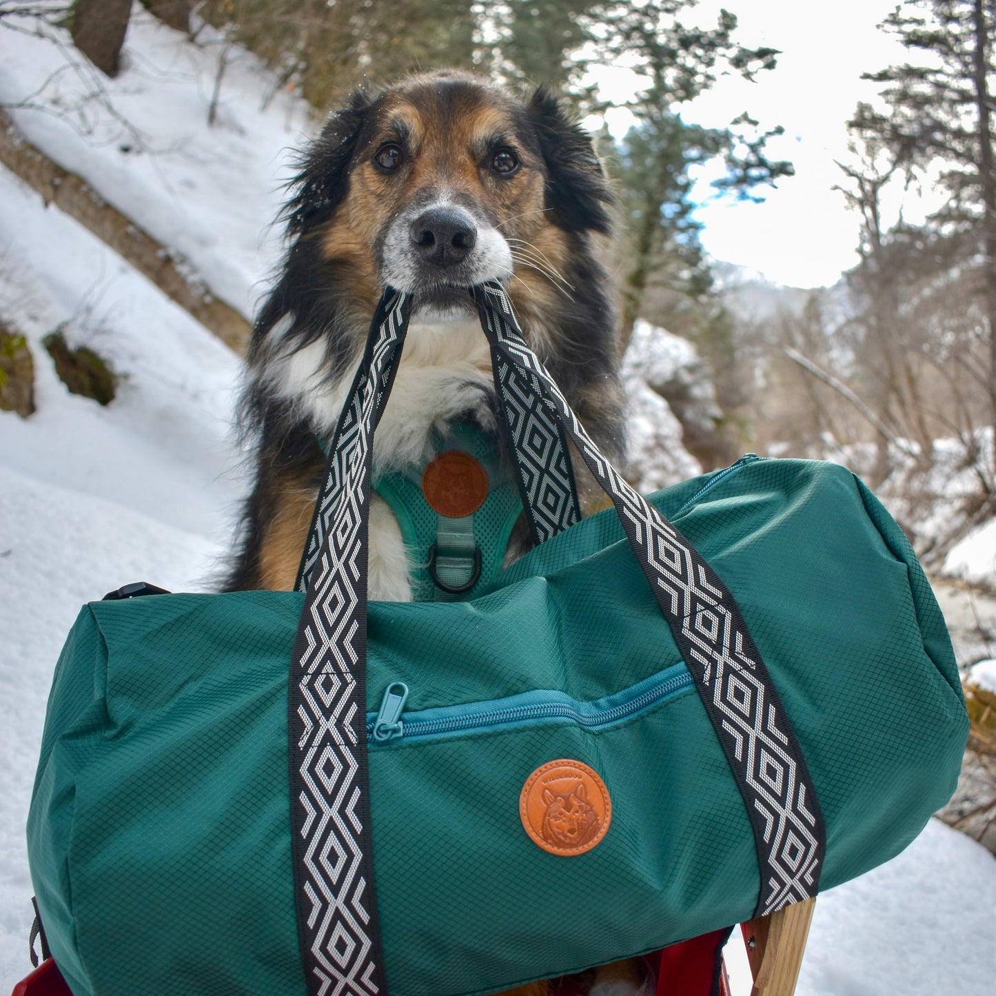 Dog Duffel