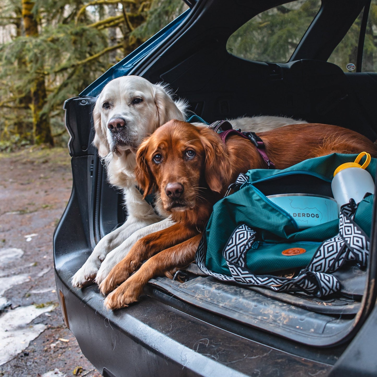 Dog Duffel