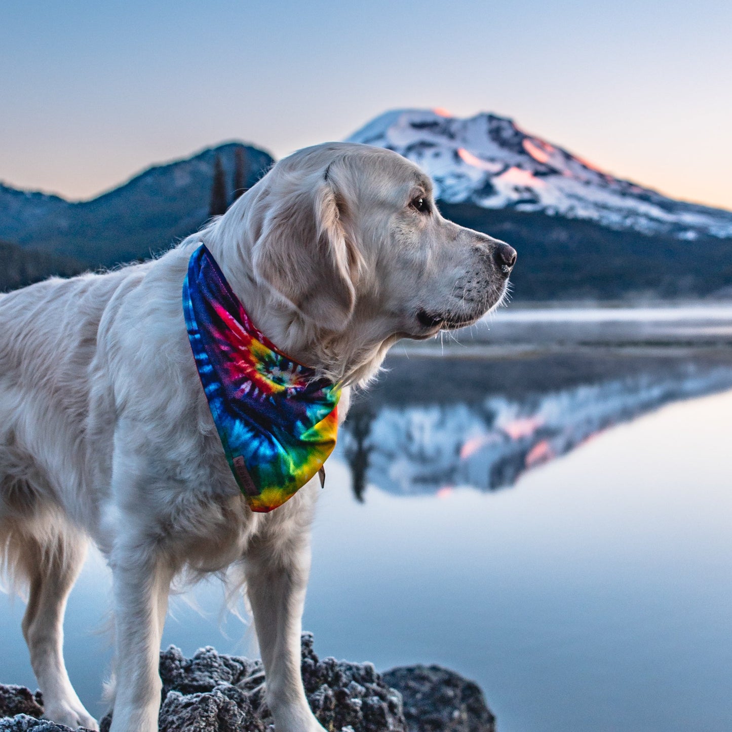 Tiedye Bandana
