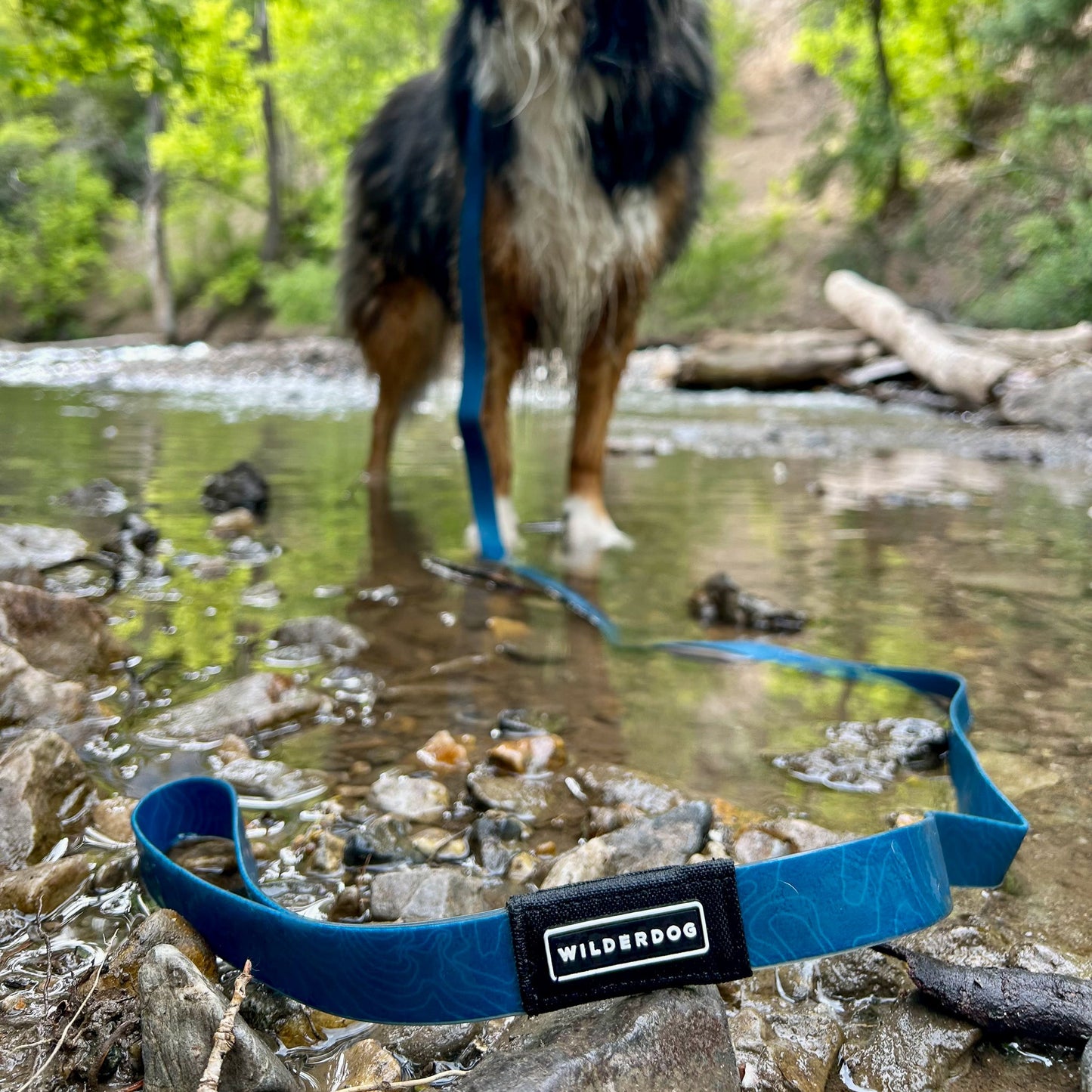 Pacific Blue Waterproof Leash