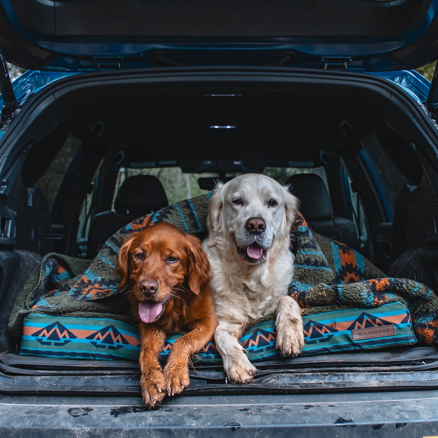 Memory Foam Dog Bed