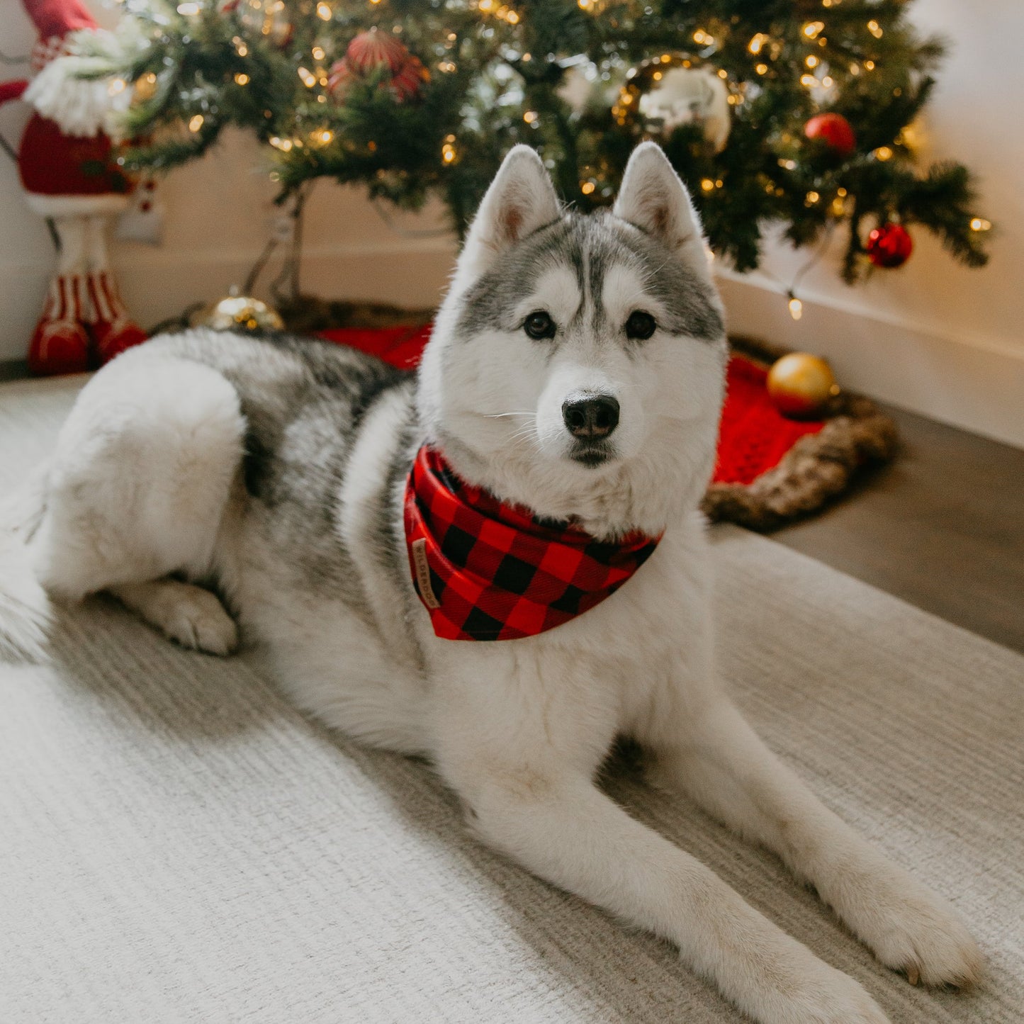 Buffalo Plaid Bandana