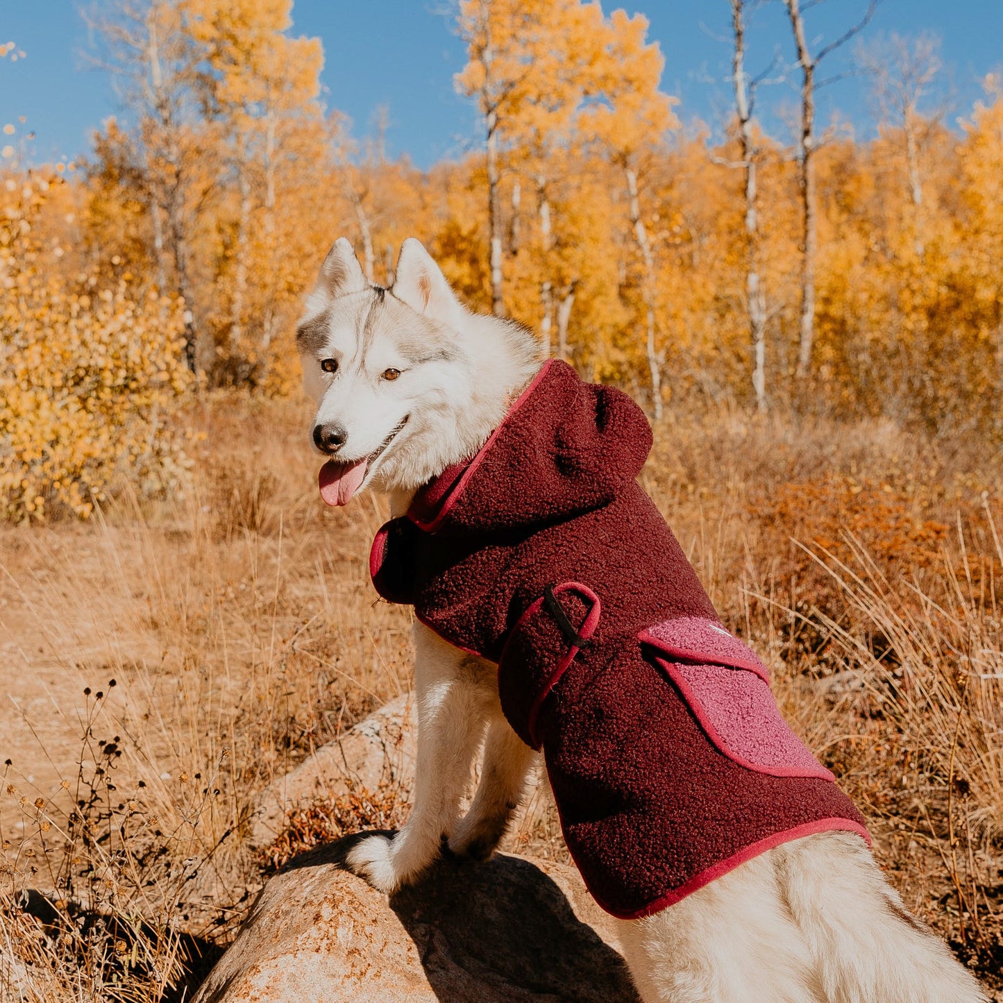 Sherpa Jacket