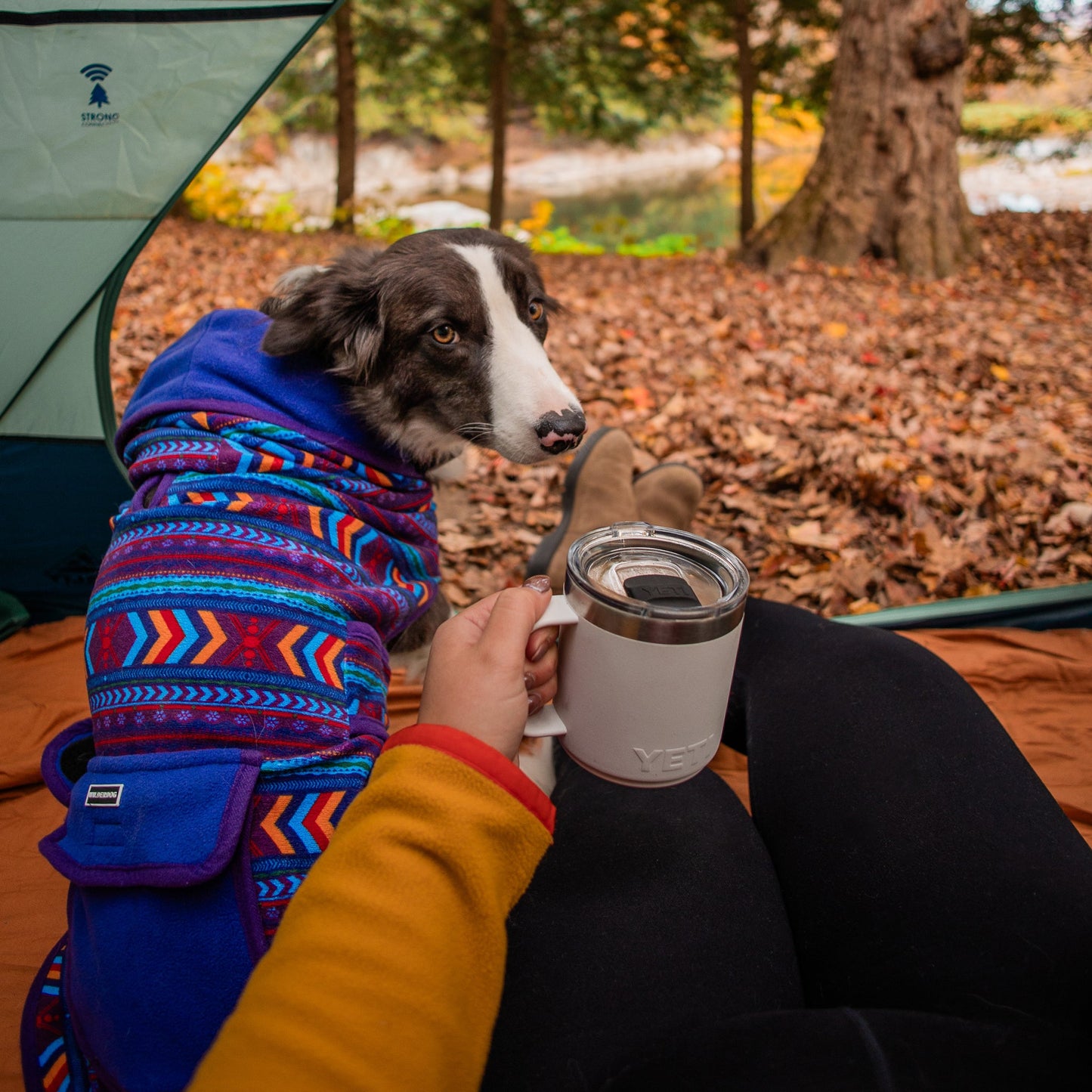 Big Sky Fleece Jacket