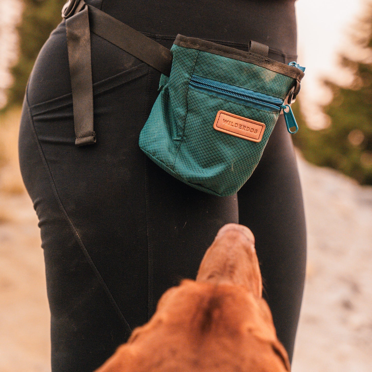 Dog Training Treat Pouch