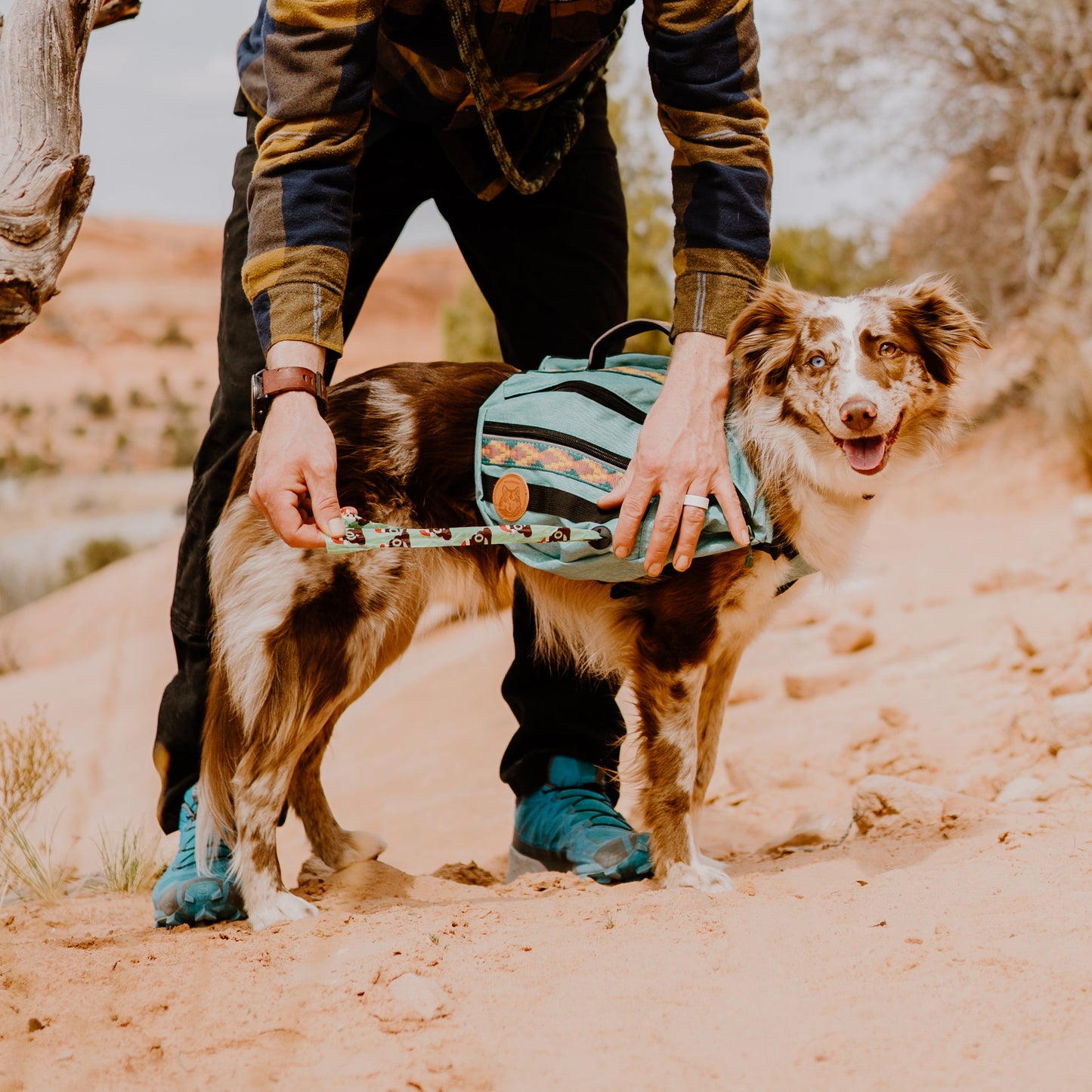 Dog Backpack