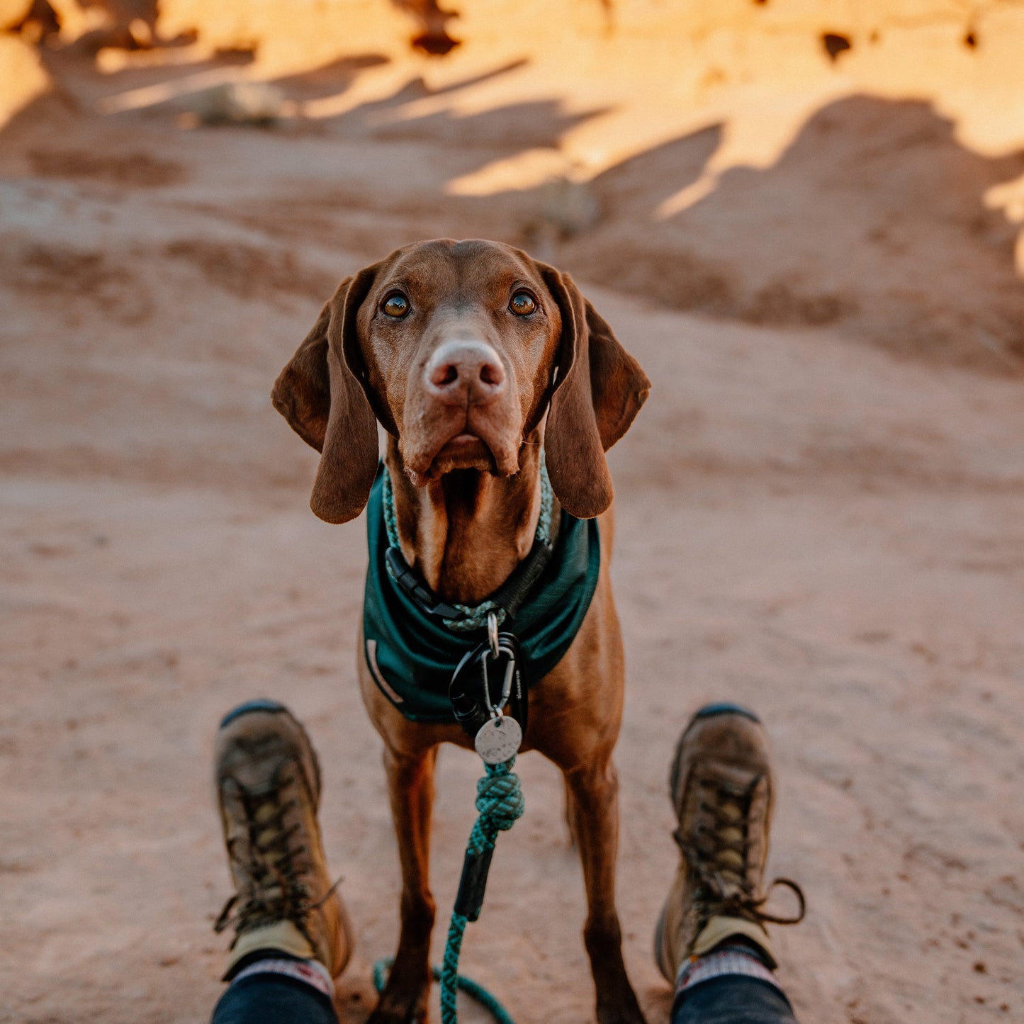Evergreen Topo Bandana