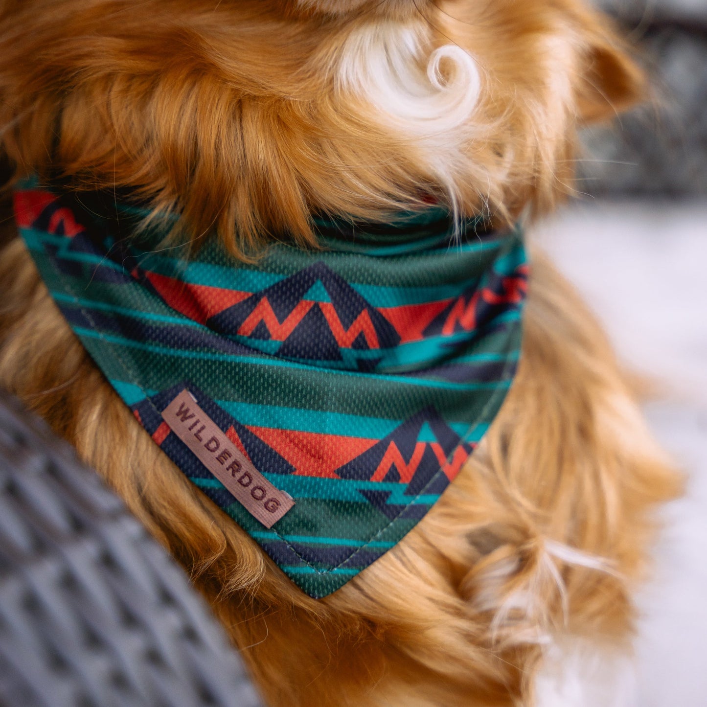 Olive Bandana