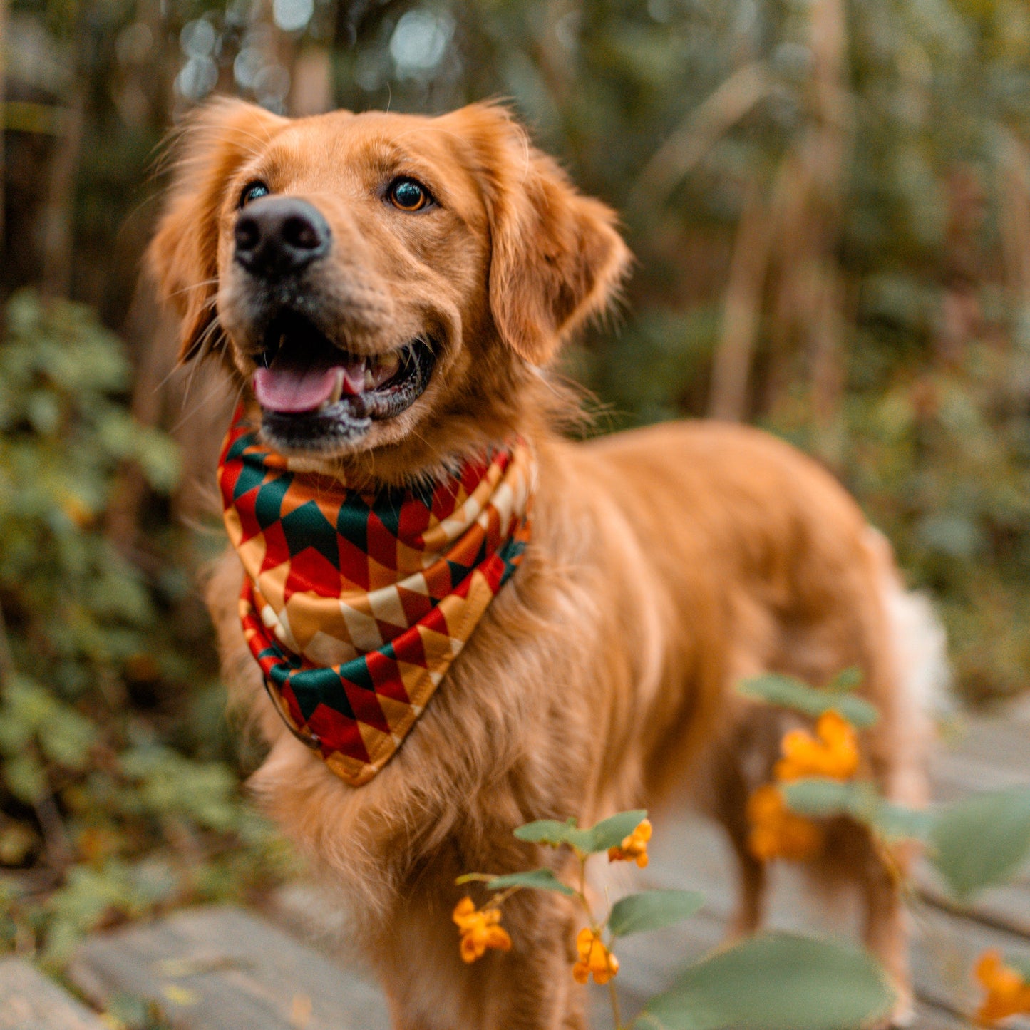 Russet Bandana