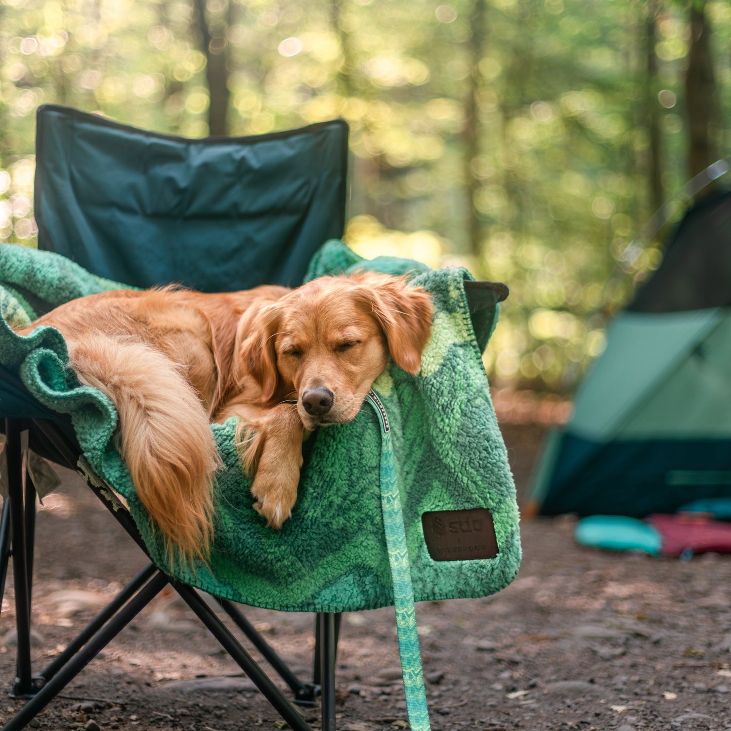 Sherpa Fleece Waterproof Blanket