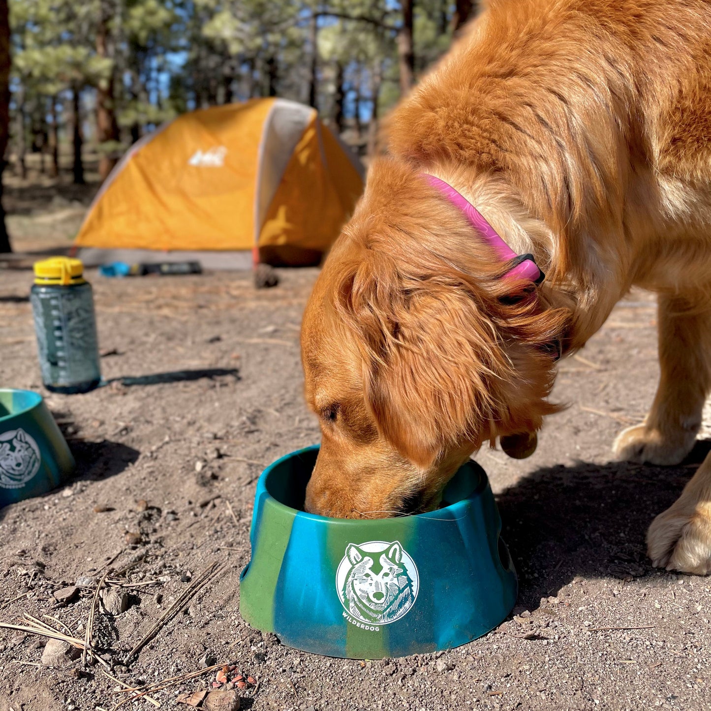 Foldable Silipint Dog Bowl