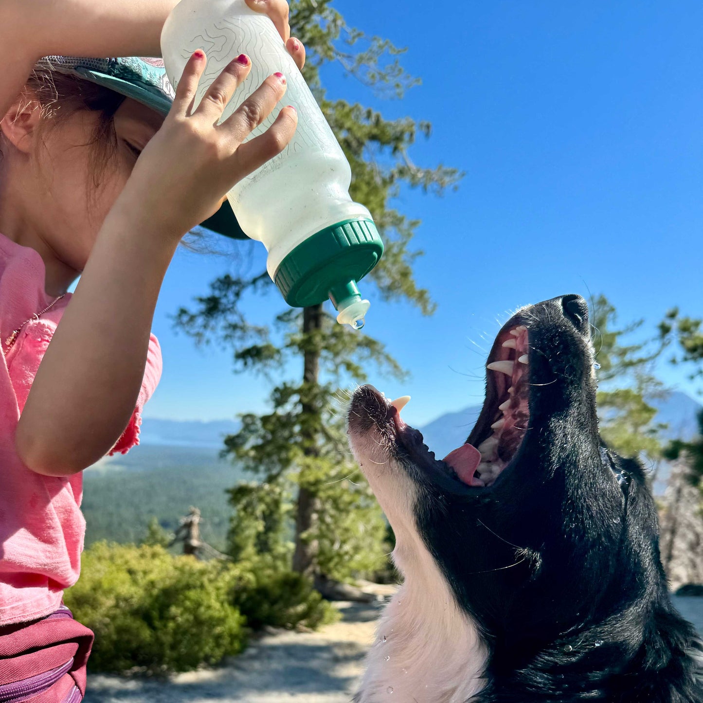 Plant-Based Water Bottle