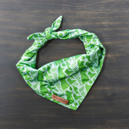 The Pet Network Bandana