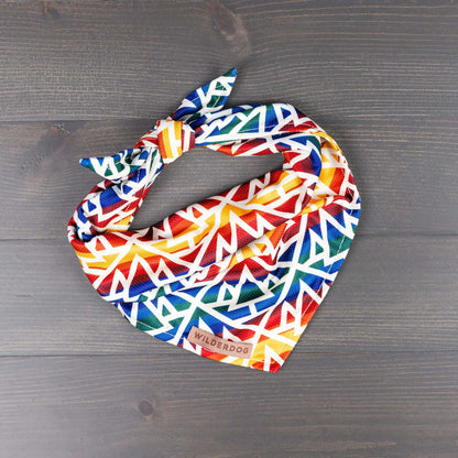 Rainbow Bandana