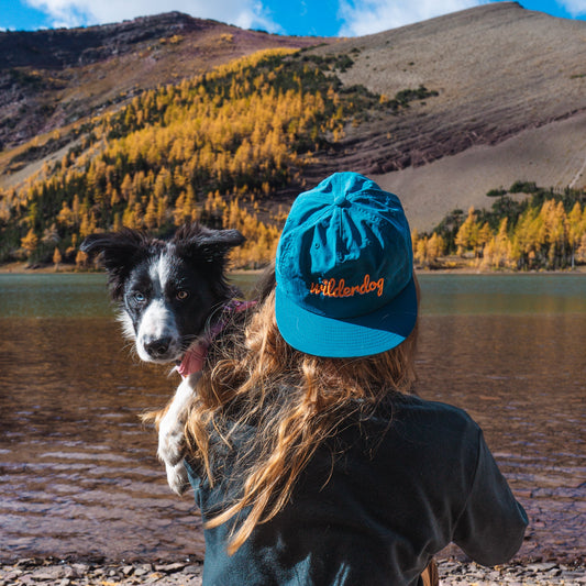 Wilderdog Surf Hat