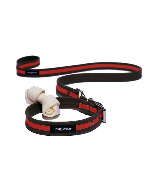 canvas reflective collar and leash in olive and safety orange