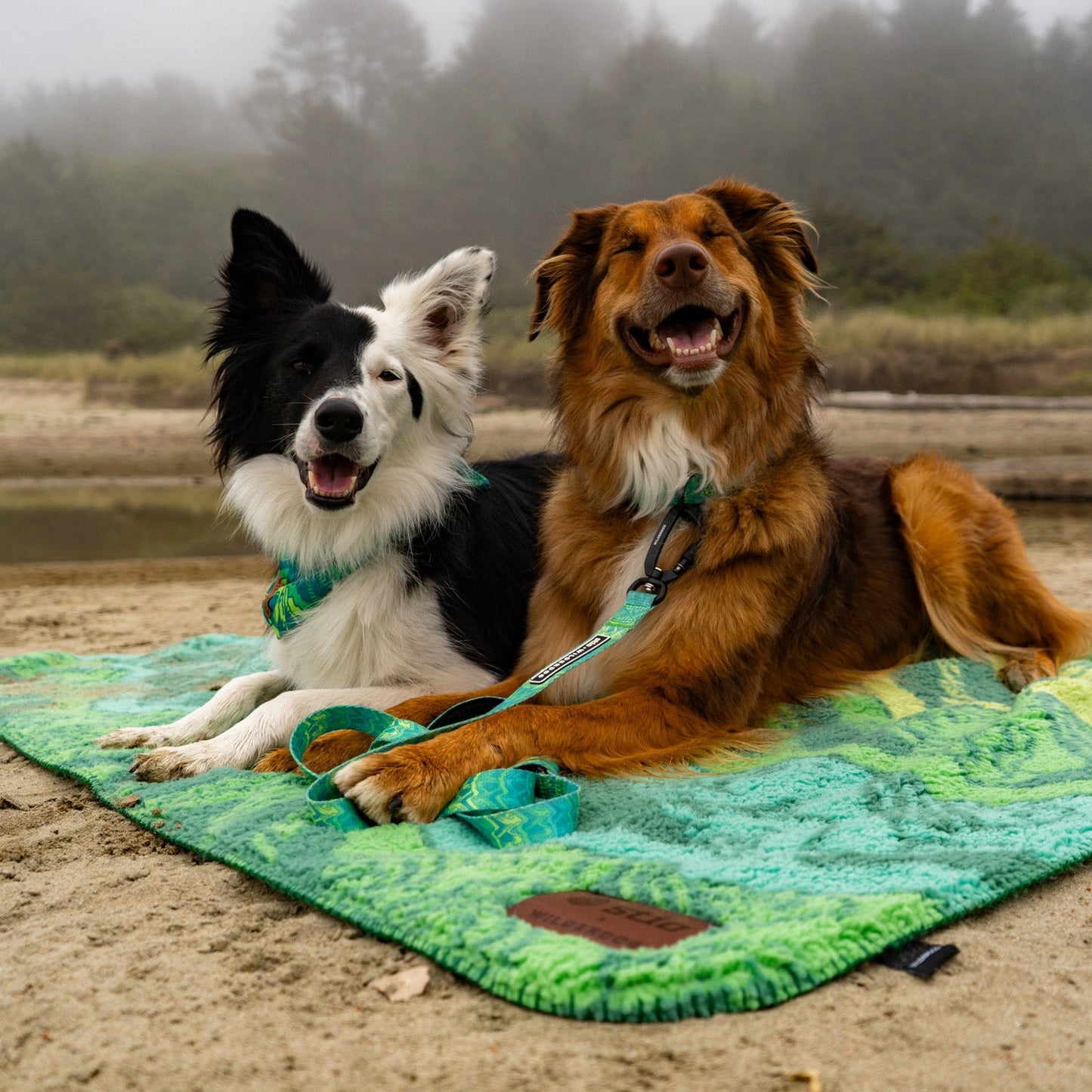 Sherpa Fleece Waterproof Blanket