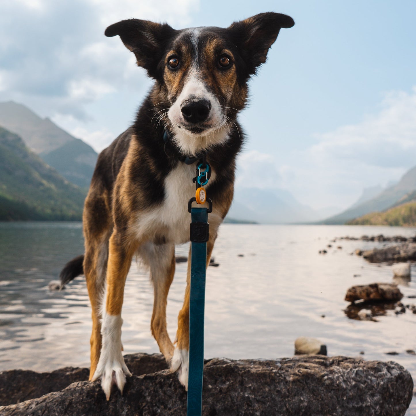 Pacific Blue Waterproof Leash