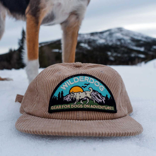 Wilderdog Cord Hat