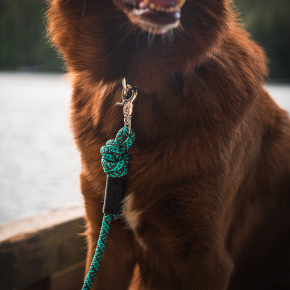 Cascade Quick Clip Leash