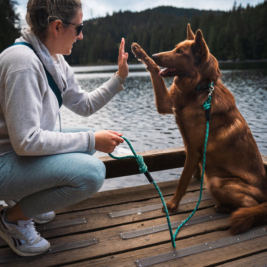 Cascade Quick Clip Leash