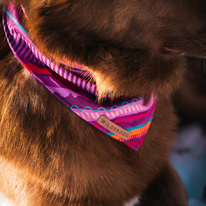 Dawn Bandana
