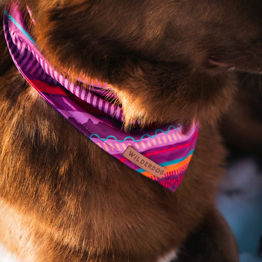 Dawn Bandana