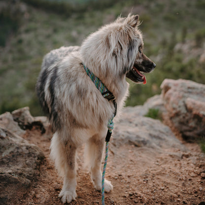 Alpine Reflective Leash