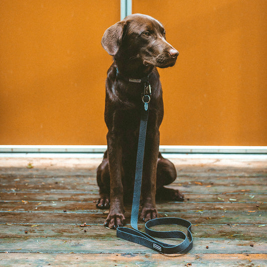 Black Waterproof Leash