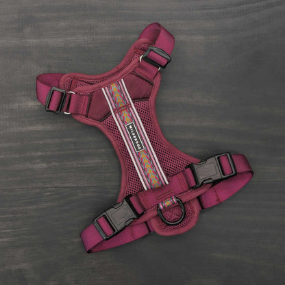 Dog Harness